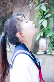慈禧太后秘史在线阅读